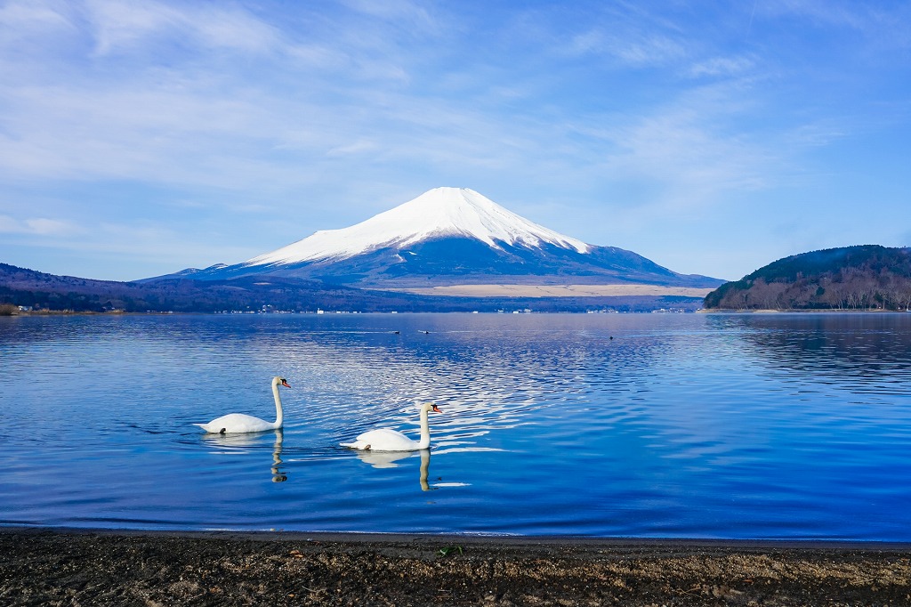  20 High Quality Yamanashi